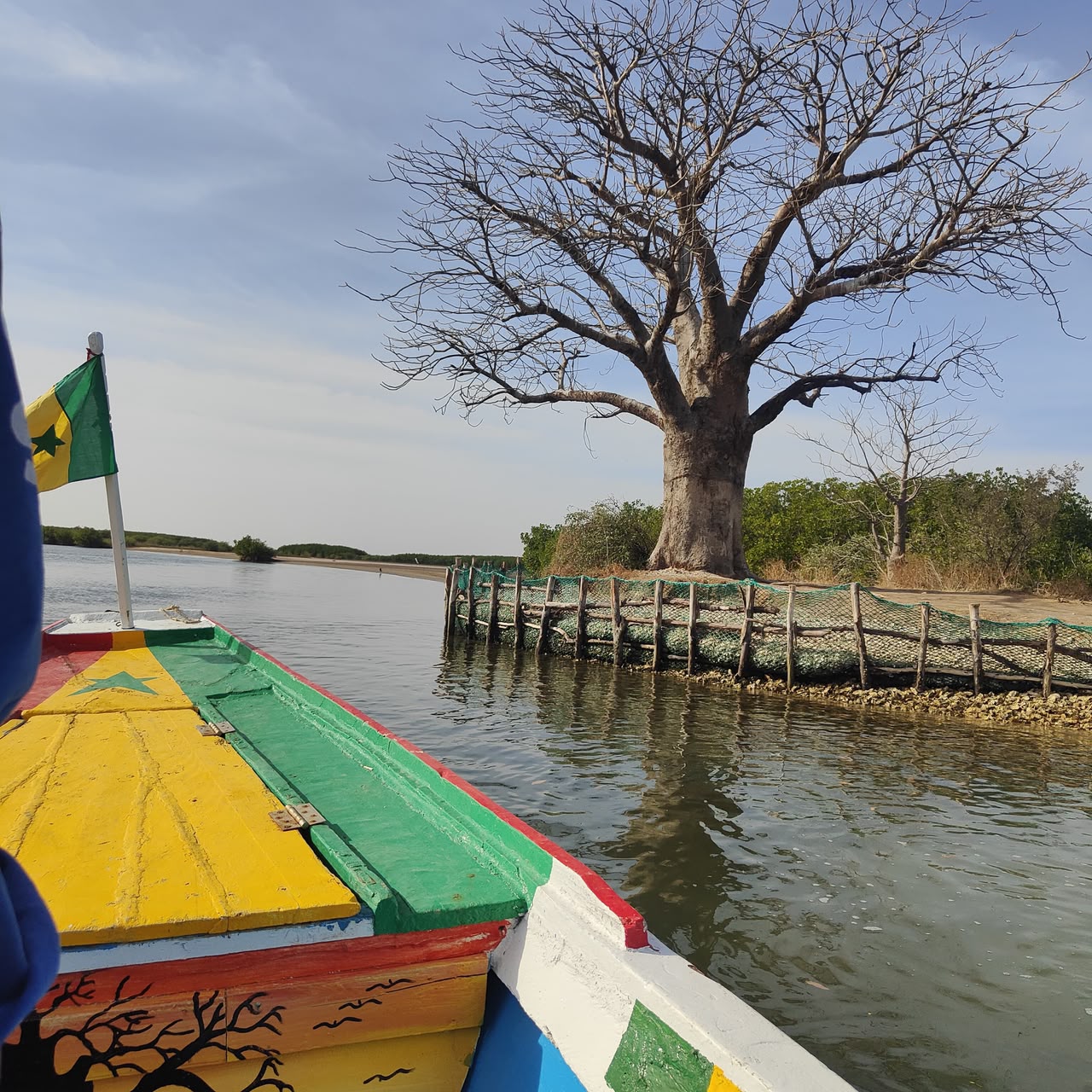 Pirogue traditionnelle sur un bolong du delta du Saloum au Sénégal