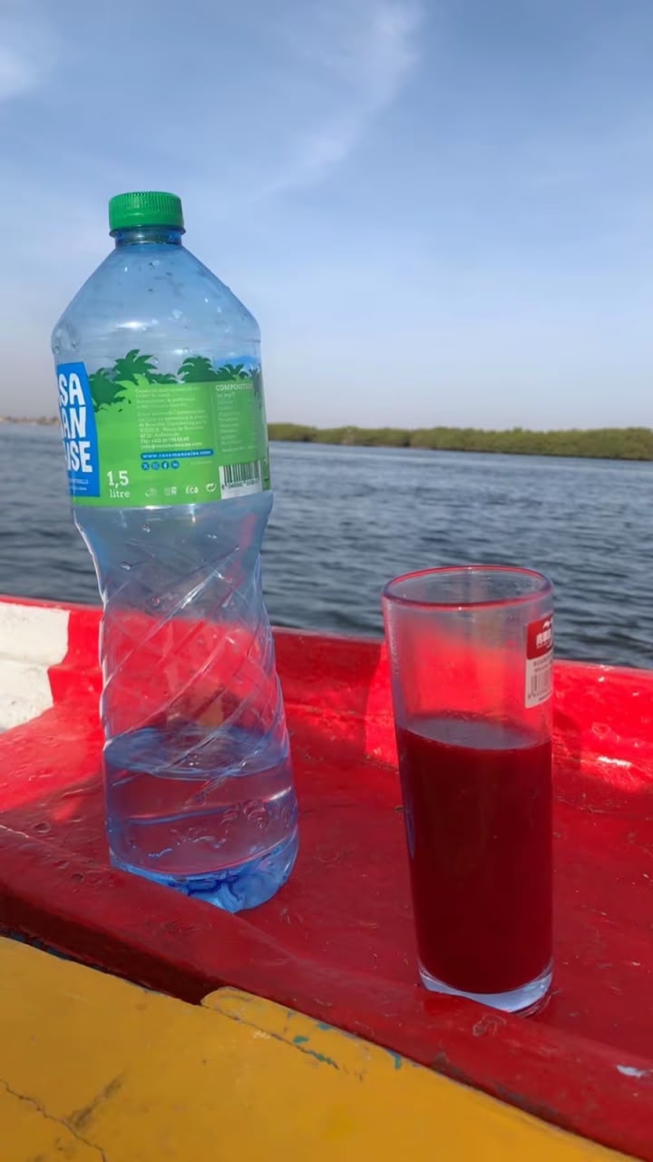 Photo illustrant l’activité pique-nique dans les Îles du Saloum